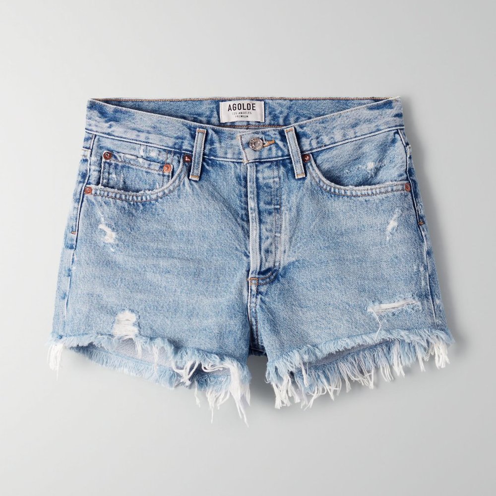 Agolde Parker Shorts in Swapmeet